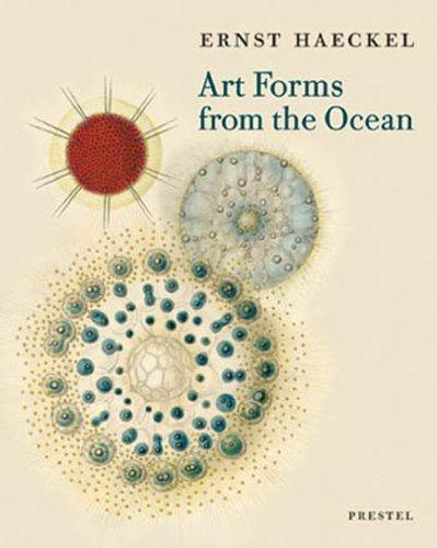 Art Forms From The Ocean