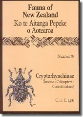 FAUNA 29 - CRYPTORHYNCHINAE