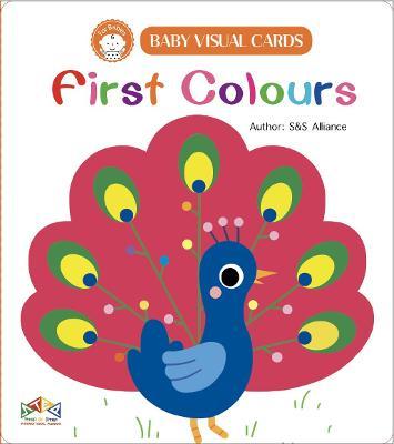 Baby Visual Cards First Colours
